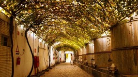 Casa Madero La Bodega mas Antigua de América