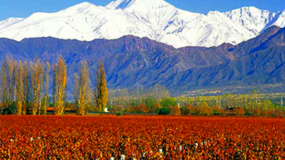 Que hay en Mendoza Argentina