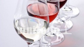 La Cata de Vinos y sus diferentes tipos