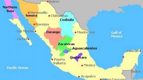El vino Mexicano y sus Regiones