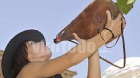 La bota de Vino