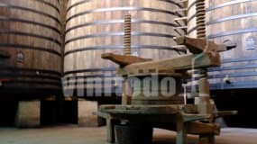 Vinos Unicos Elaborados con procesos de mas de 130 años