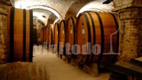 Vinitodo en Barolo Italia con la Bodega Pio Cesare