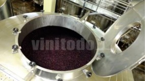 Tanque de Fermentación